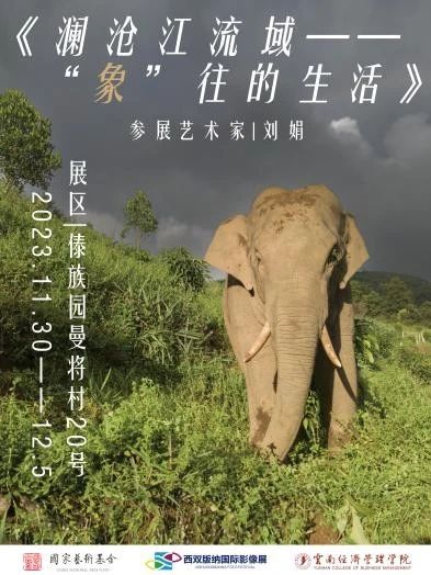 【创美艺传】2023西双版纳国际影像展 第 30 张 【创美艺传】2023西双版纳国际影像展 第 30 张