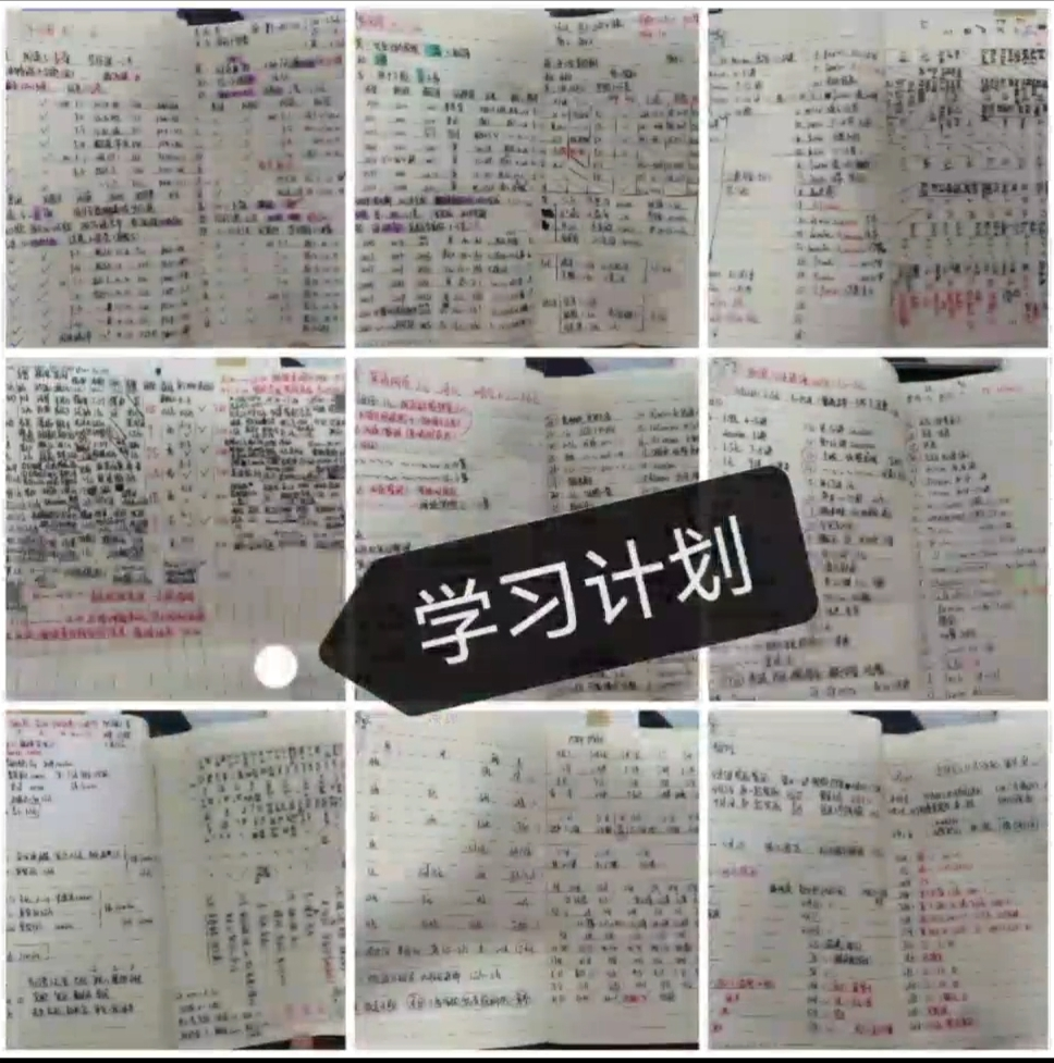 “研”路相伴,筑梦起航丨护理学、助产学专业开展考研经验分享交流会 第 6 张