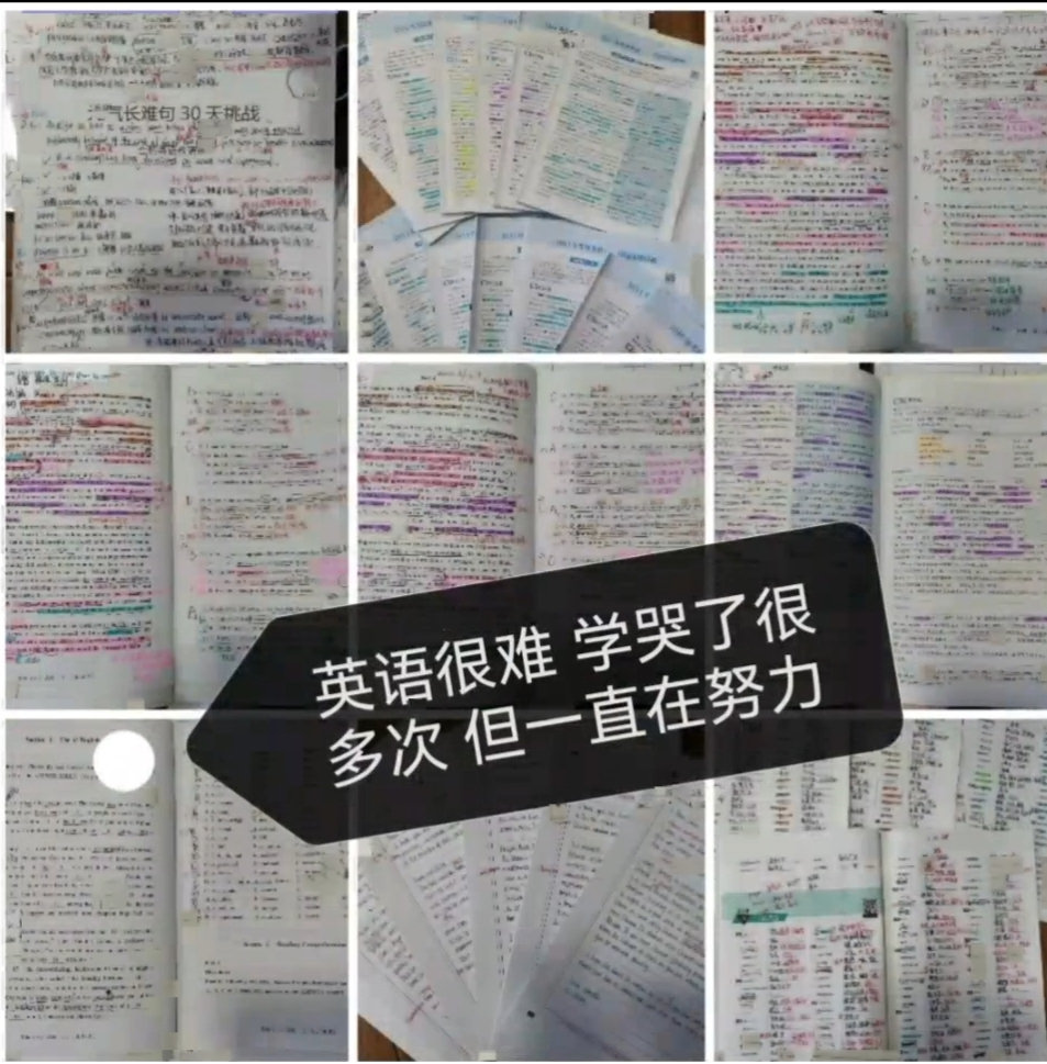 “研”路相伴,筑梦起航丨护理学、助产学专业开展考研经验分享交流会 第 4 张