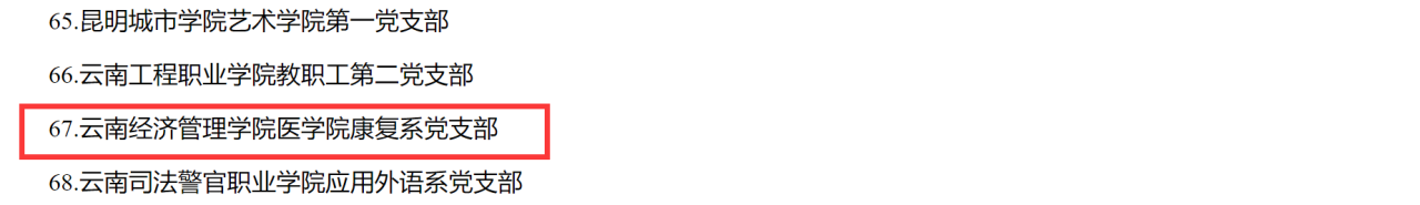 喜报！云南经济管理学院医学院1个基层党组织入选云南省高校第五批“一流党建”示范党组织 第 4 张