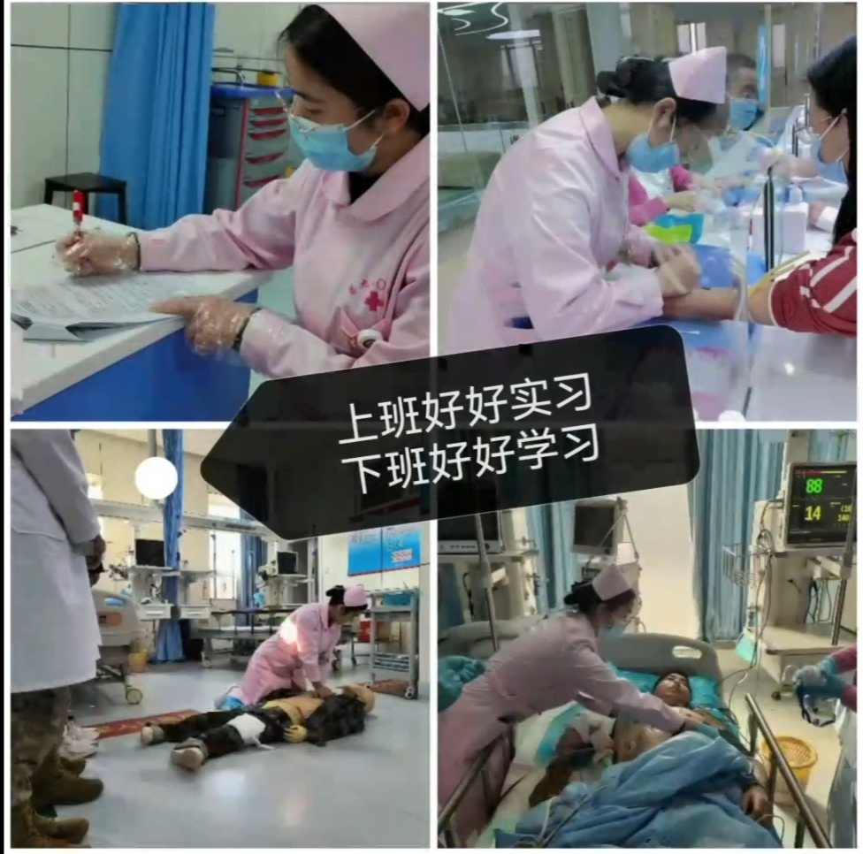 “研”路相伴,筑梦起航丨护理学、助产学专业开展考研经验分享交流会 第 3 张