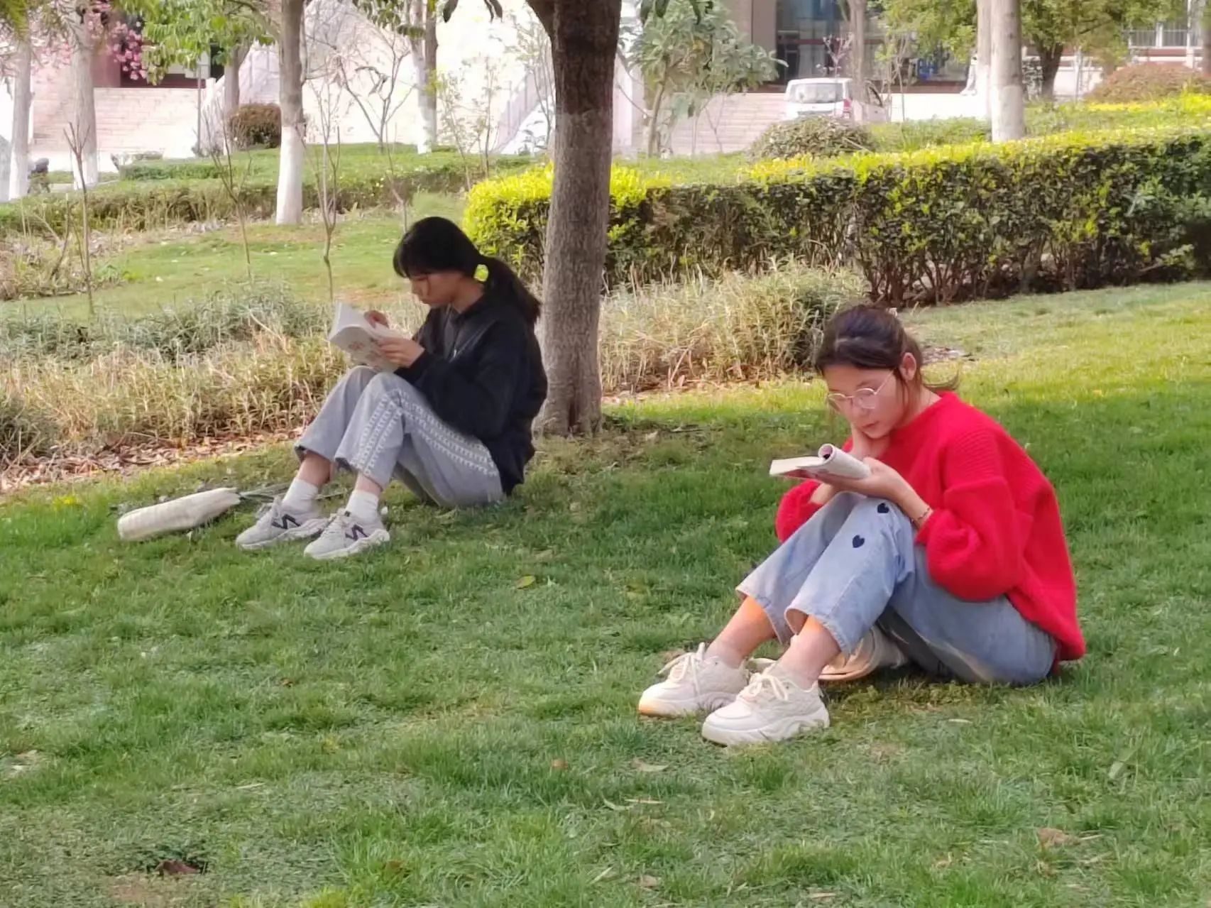 d9e1f977022a00ae1087dbbdba43c121.jpg d9e1f977022a00ae1087dbbdba43c121.jpg