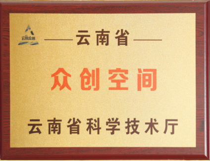 wps9.png 云南经济管理学院在2025年度中国高校众创空间联盟评选中荣获佳绩 第 9 张