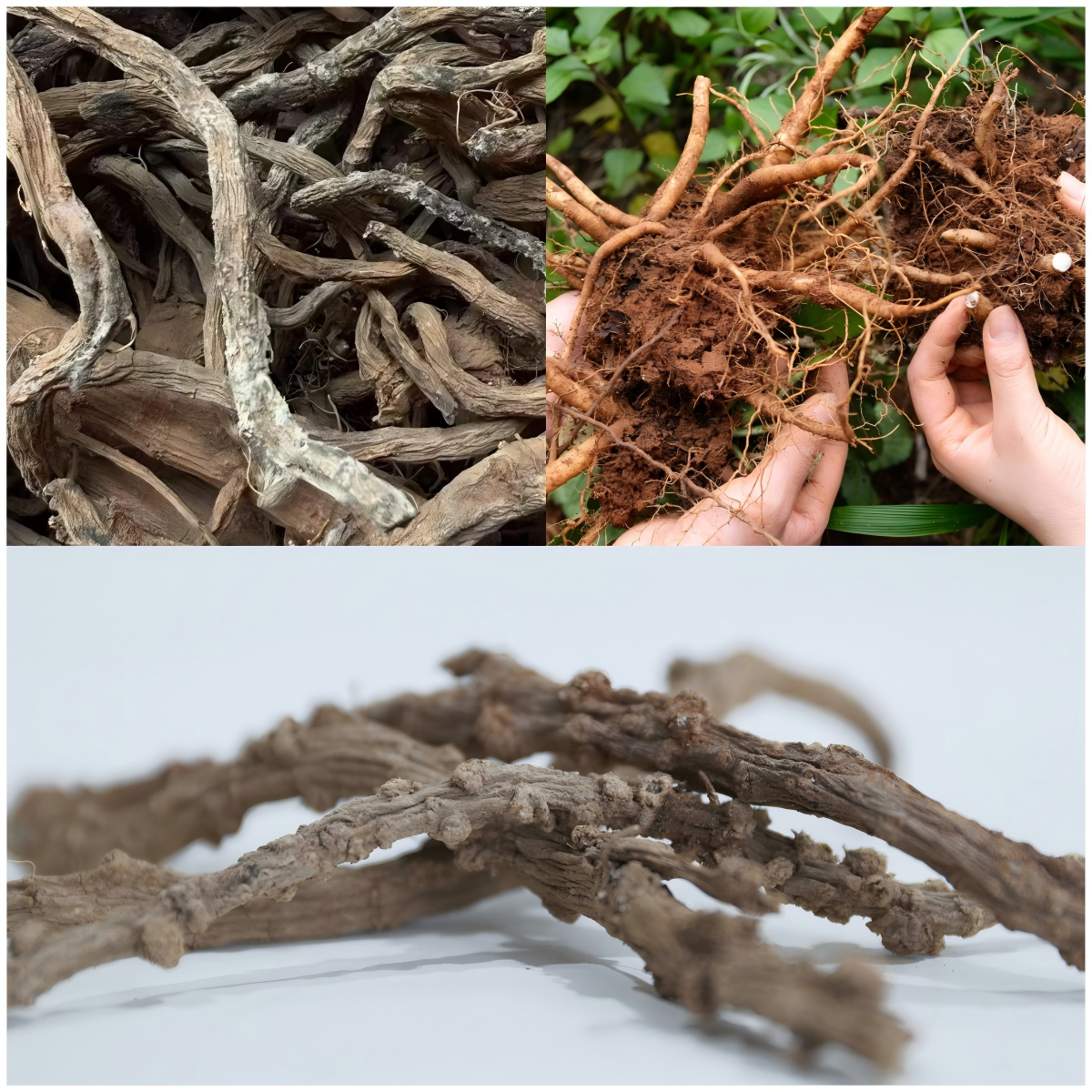 04e19cf7dcdd6b9652db202953537769.png 04e19cf7dcdd6b9652db202953537769.png