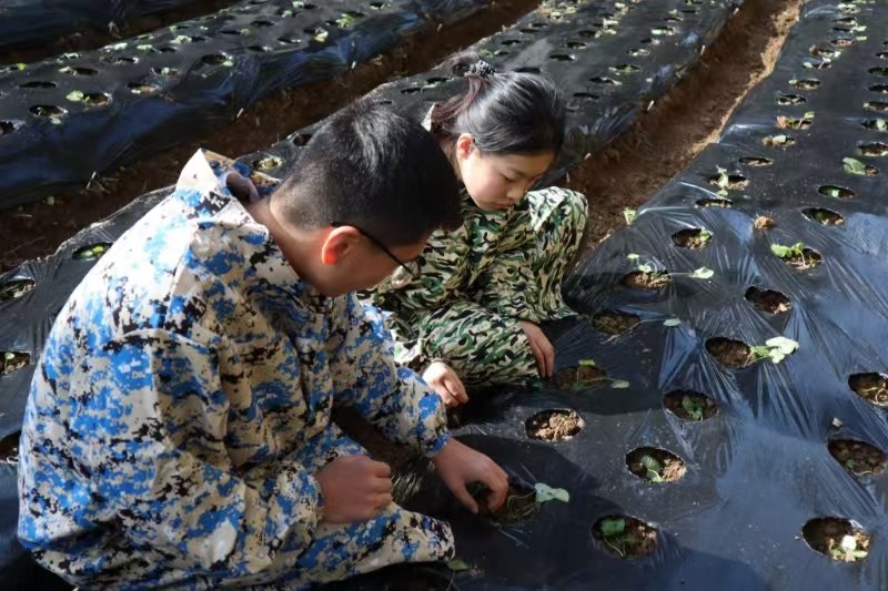 太上头了🤤,这个蘸料经管人研发的! 第 11 张 太上头了🤤,这个蘸料经管人研发的! 第 11 张