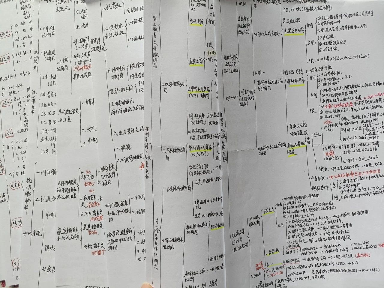 “偏要考上!”她做到了‼️ 第 11 张 “偏要考上!”她做到了‼️ 第 11 张