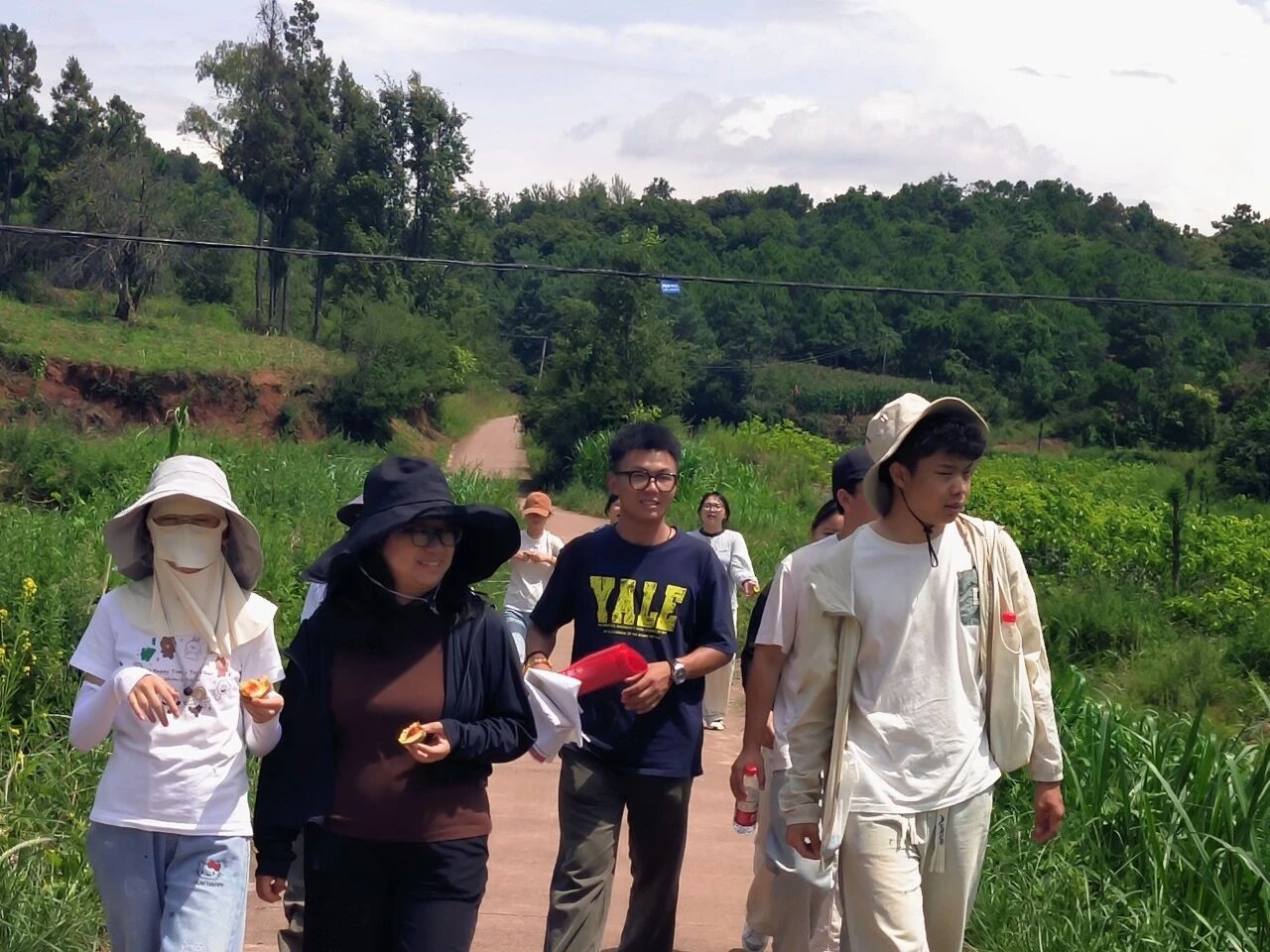 暑假社会实践 | 生态桑园绿意浓，“蚕”动绿色新经济--水源区固废变有机肥，麦地冲蚕丝织就国际路 第 3 张