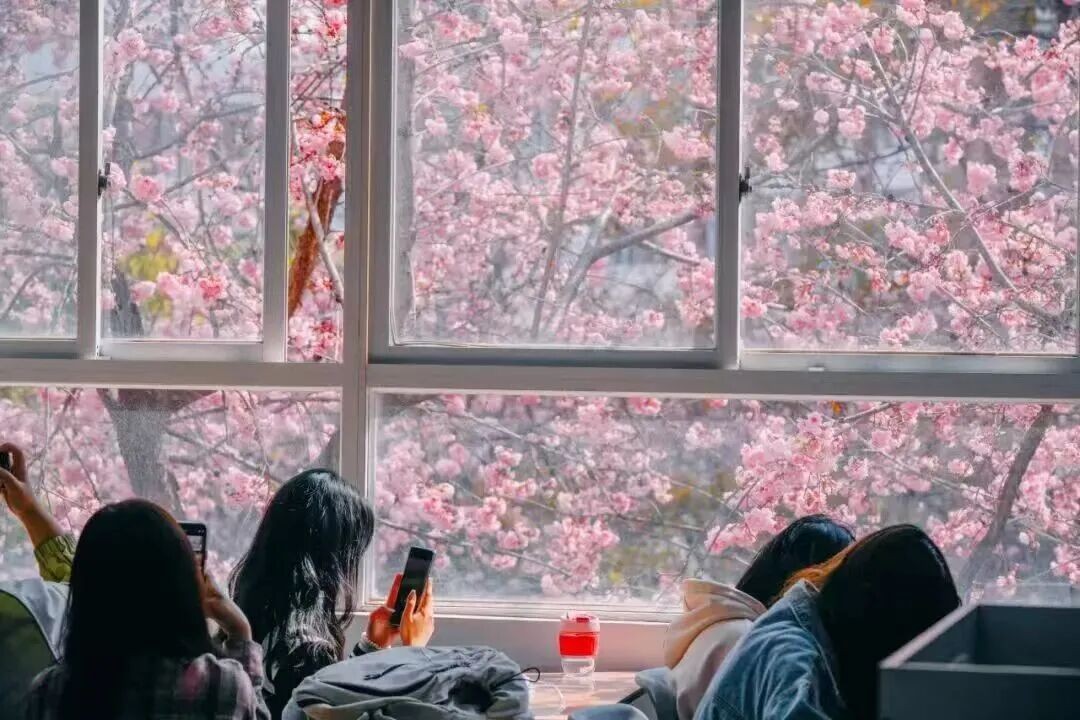 排名揭晓！云南经济管理学院全国10强‼️ 第 15 张