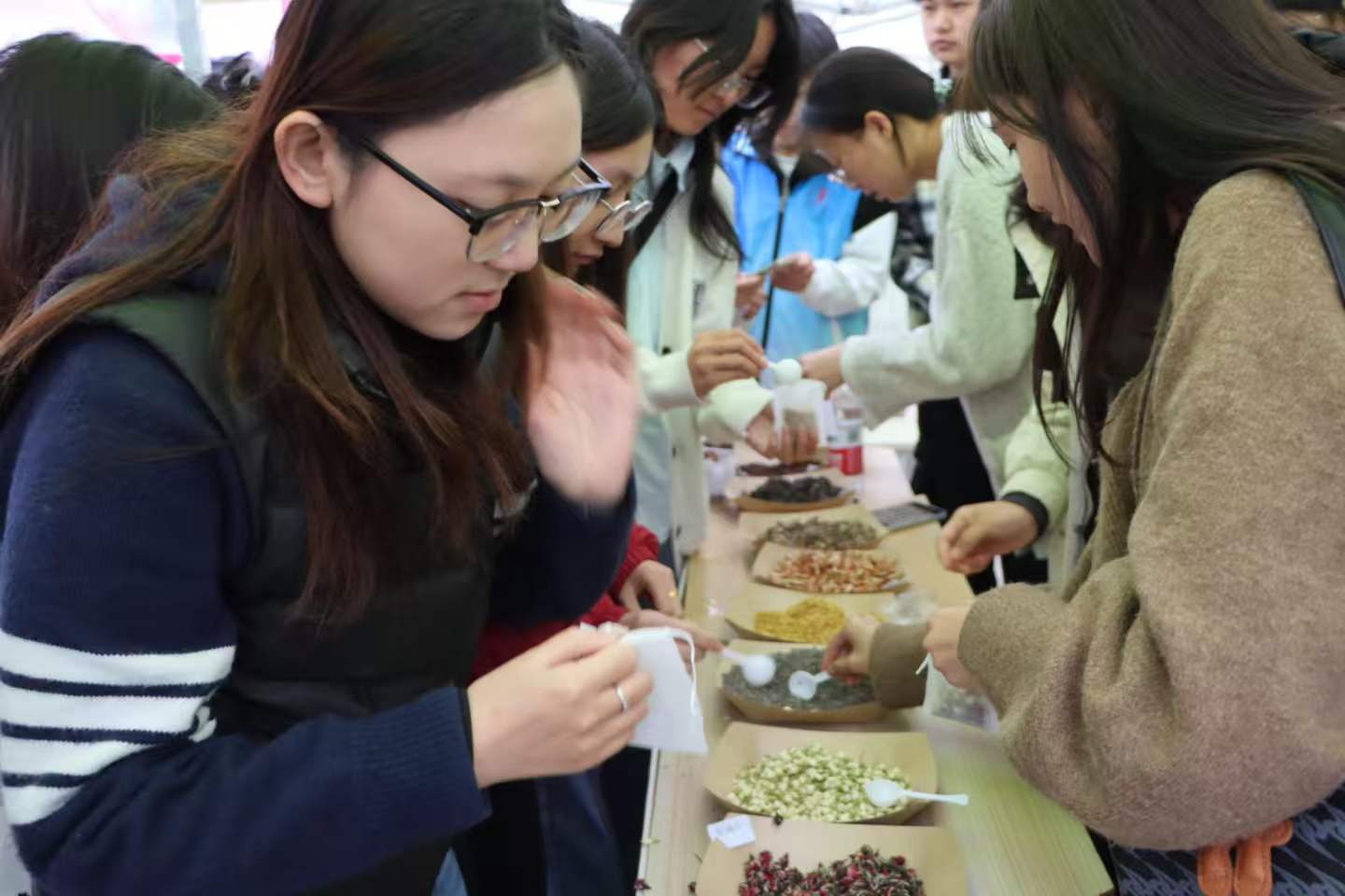 7.jpeg 当樱花遇见中医药:医学院亮相校园开放日,传统医学“可尝可触” 第 3 张